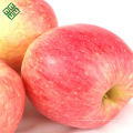 Chine pommes fuji croquante pomme avec le fournisseur de la Chine